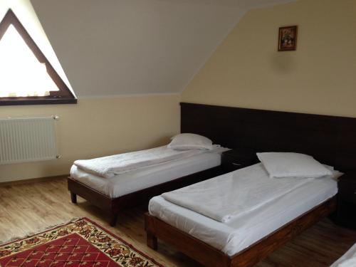 Hostal Pensiunea Diana