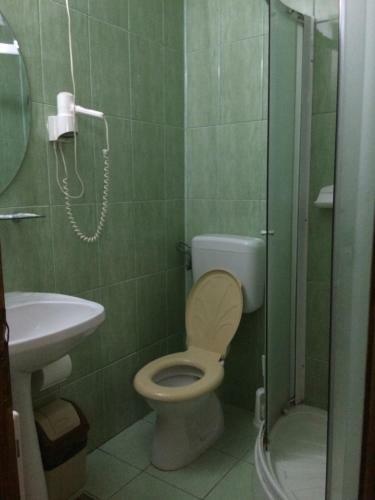 Hostal Pensiunea Diana