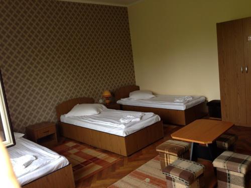 Hostal Pensiunea Diana