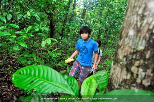 Hotel Loola Adventure Resort