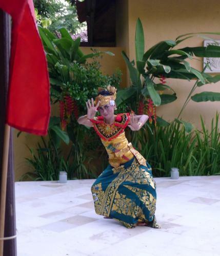 Villa Taman Ayu