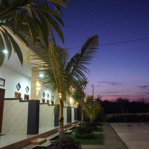 Hostal Ega Homestay