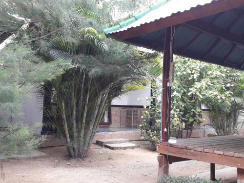 Hostal Jasmine Inn