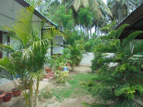 Hostal Jasmine Inn