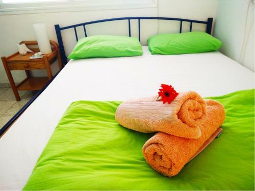 Golan Garden Hostel