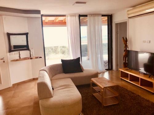 Luxury Apartments