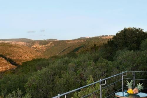 Finestra Suites