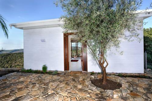 Finestra Suites