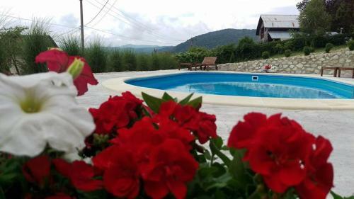 Hostal Casa Mircea