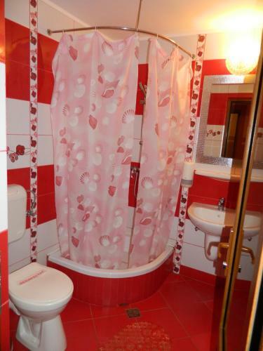 Hostal Pensiunea Cora