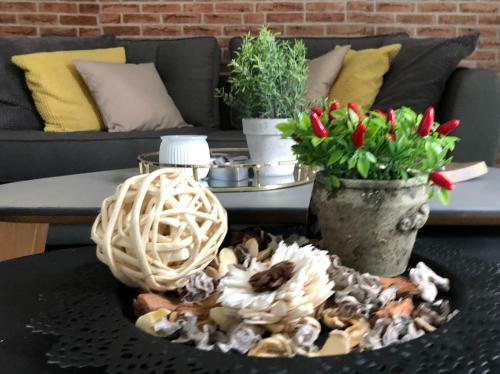 Apartamento Bograshove Beach Penthouse By Ray Supreme
