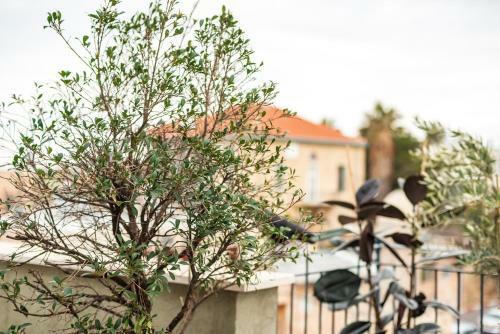 Apartamento Jaffa Lux Tlv - Boutique Living