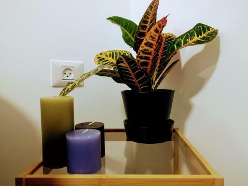 Apartamento Locals Tlv - Yaffo Street