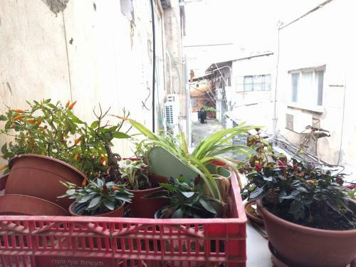 Apartamento Locals Tlv - Yaffo Street
