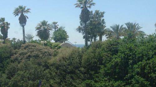 Apartamento Tlvsublet Hayarkon