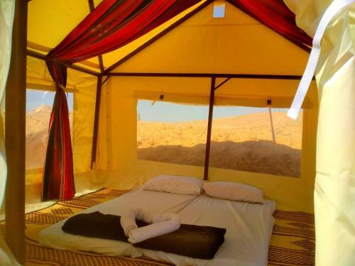 Desert Camping Israel