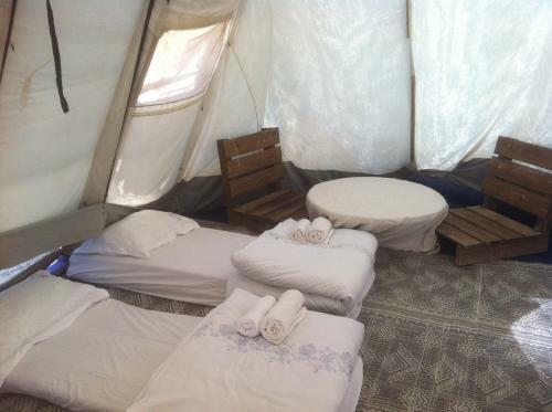 Desert Camping Israel