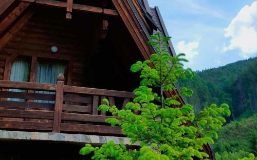 Tsarynka Holiday Park