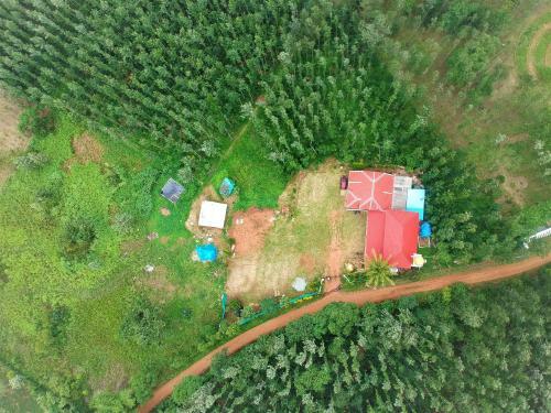 The Mayuravana Homestay