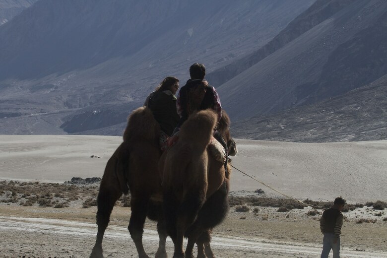 Hotel Chamba Camp, Diskit