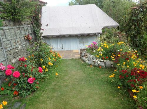 Kedar Camp Resorts