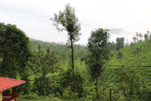 Green Garden Lotus Villa