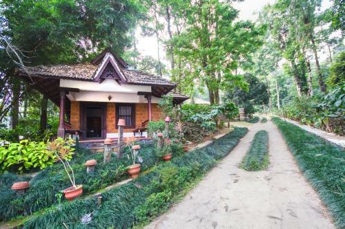 Hotel Misty Woods Resort