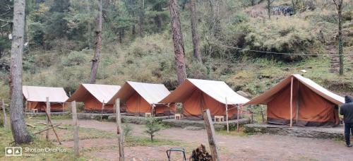 Himtrek Riverside Camps, Kasol