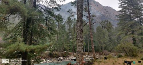 Himtrek Riverside Camps, Kasol