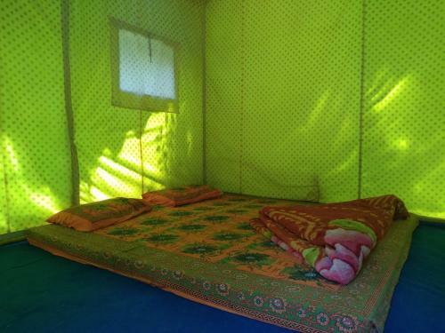 Jalpa Camp
