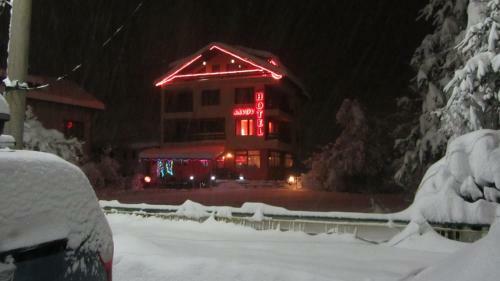 Family Hotel Savov