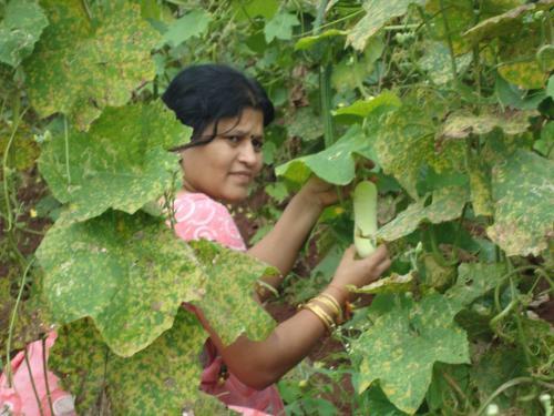 Agroturismo Sneha Farm House