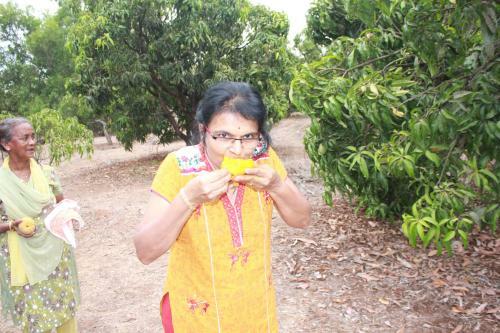 Agroturismo Sneha Farm House