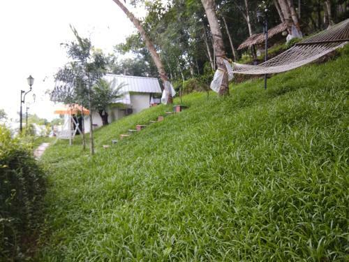 Hotel Mistywindvalley