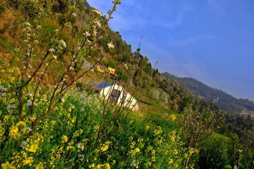 Bed & Breakfast Enchanted Hills