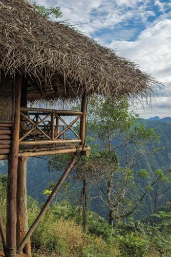 Aranyakam Homestay