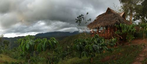 Aranyakam Homestay