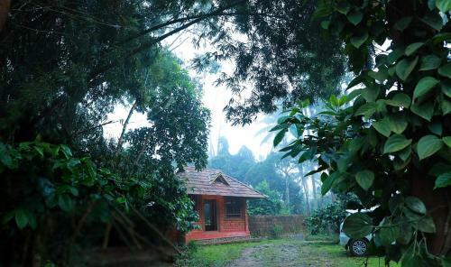 Aranyakam Homestay