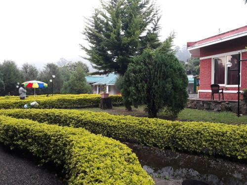 Hotel Golden Green