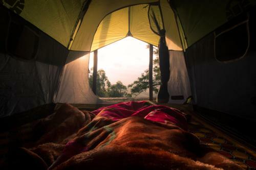 Camp Woody Luxury Camp