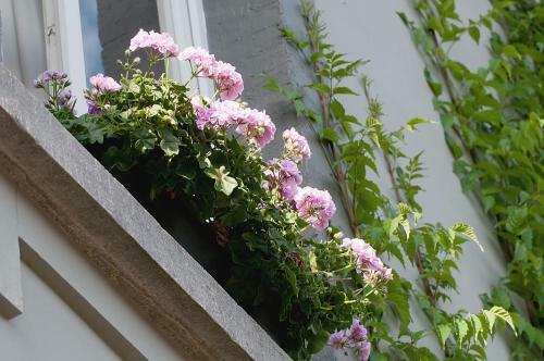 B&B Maison Les Anges