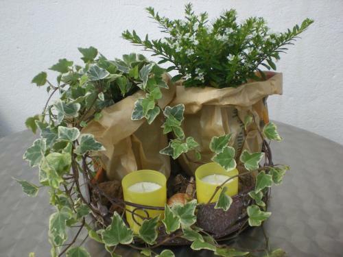 Bed & Breakfast Pension Staldacher