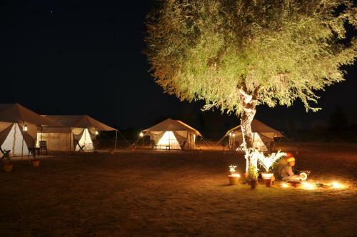 Safari Camp Osian