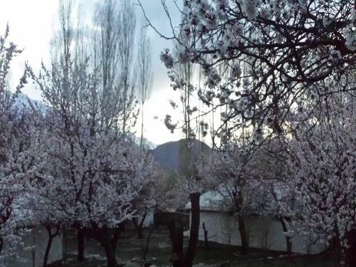 Hotel Nimmu House Ladakh