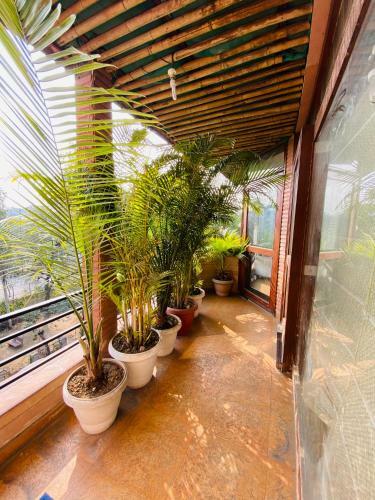 Hide-in Hostel Delhi