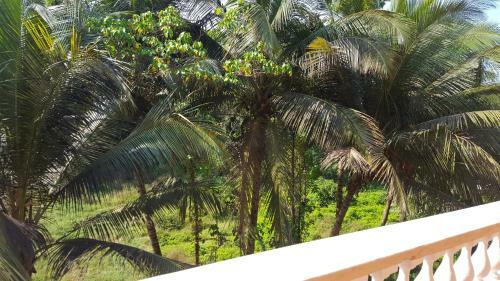 Apartamento Coconut Grove Residency
