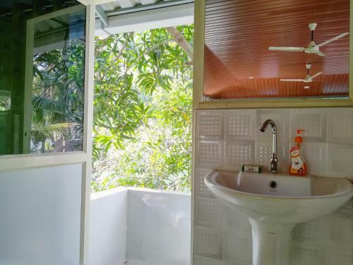 Blue Birds Homestay