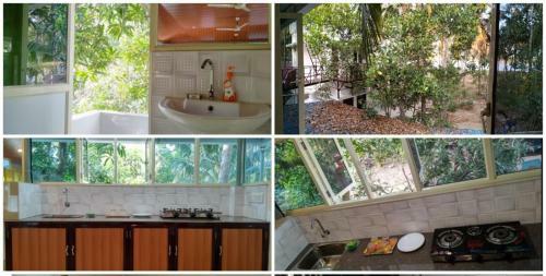 Blue Birds Homestay