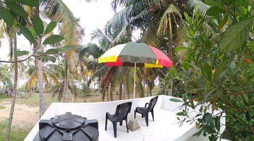 Blue Birds Homestay
