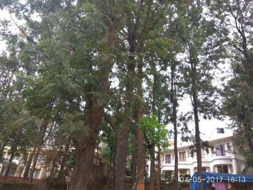 Bed & Breakfast Trinity House